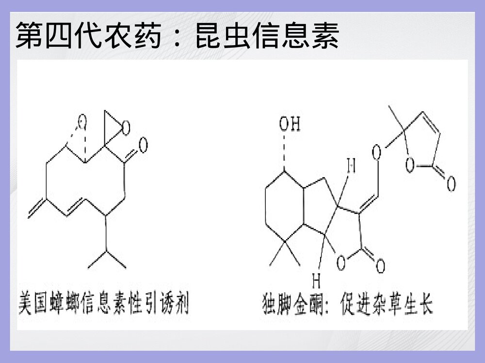 生活化学农药与化肥PPT课件下载6