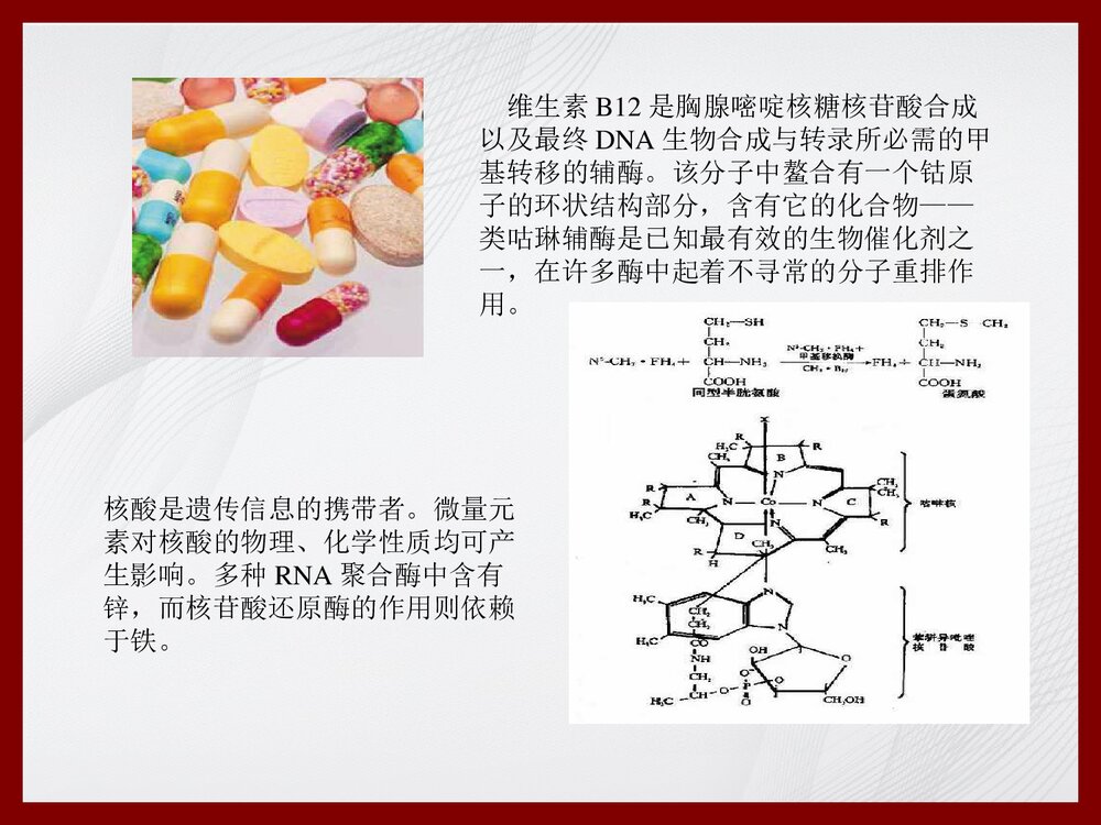 化学与健康PPT课件下载8