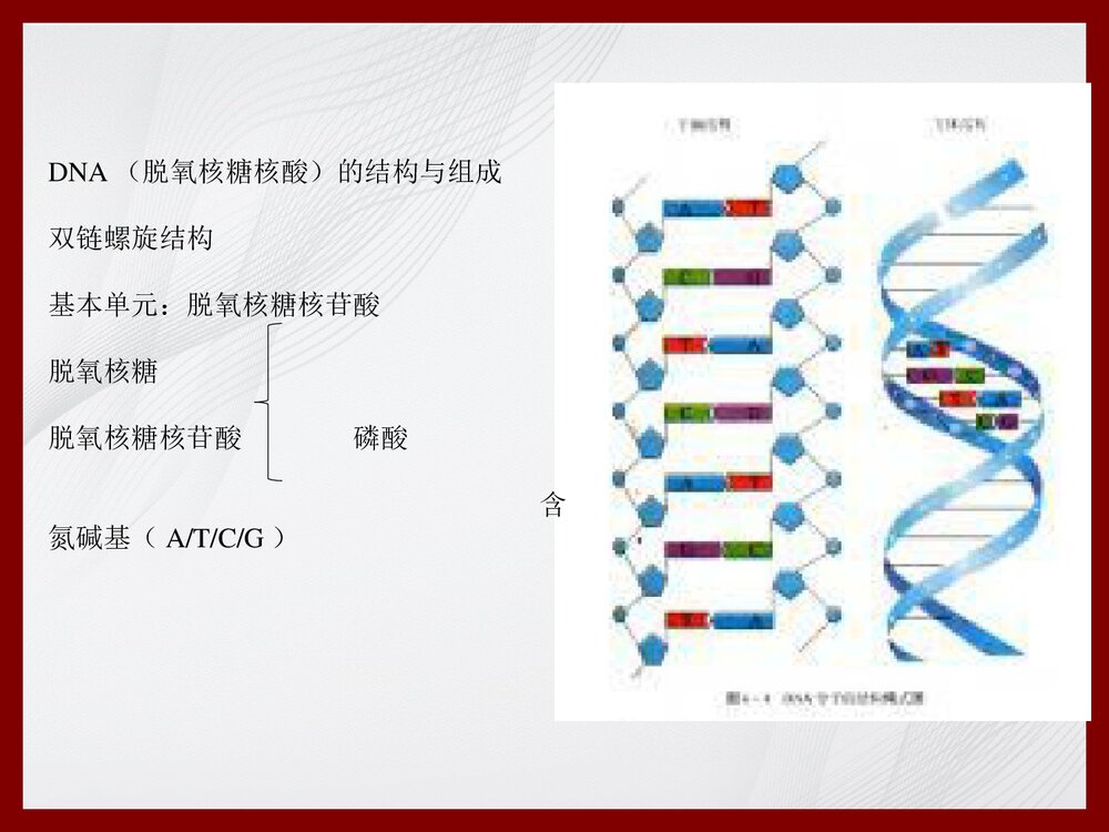 化学与健康PPT课件下载9