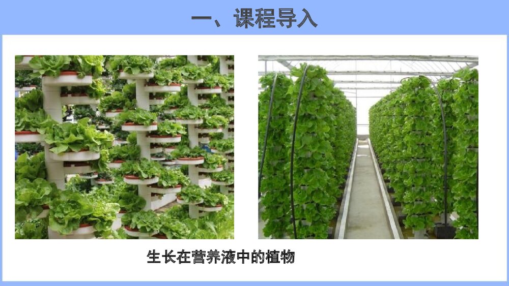 九年级化学溶液的形成溶液PPT课件下载2