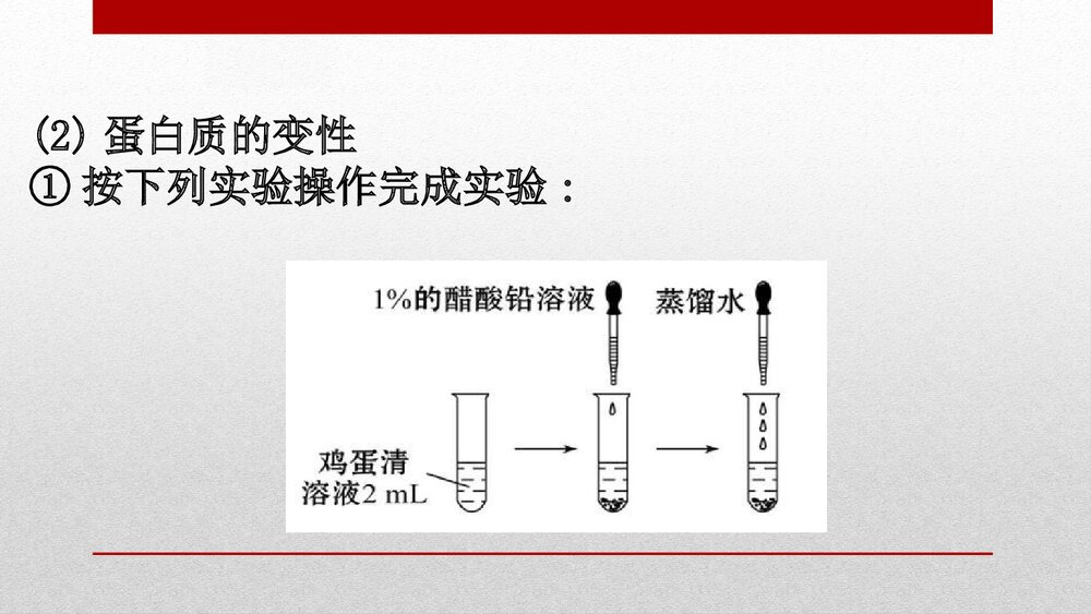 人教版化学20版必修二7.4.2《基本营养物质有机化合物·第2课时蛋白质油脂》PPT课件5