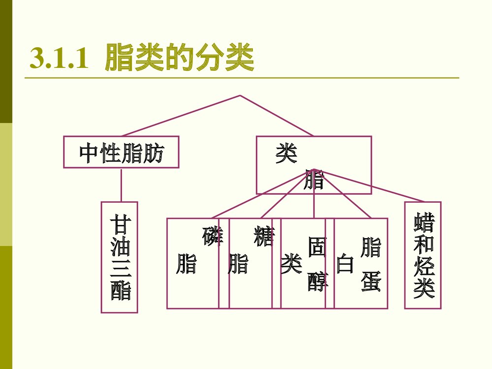 有关食品化学脂肪课件PPT下载2