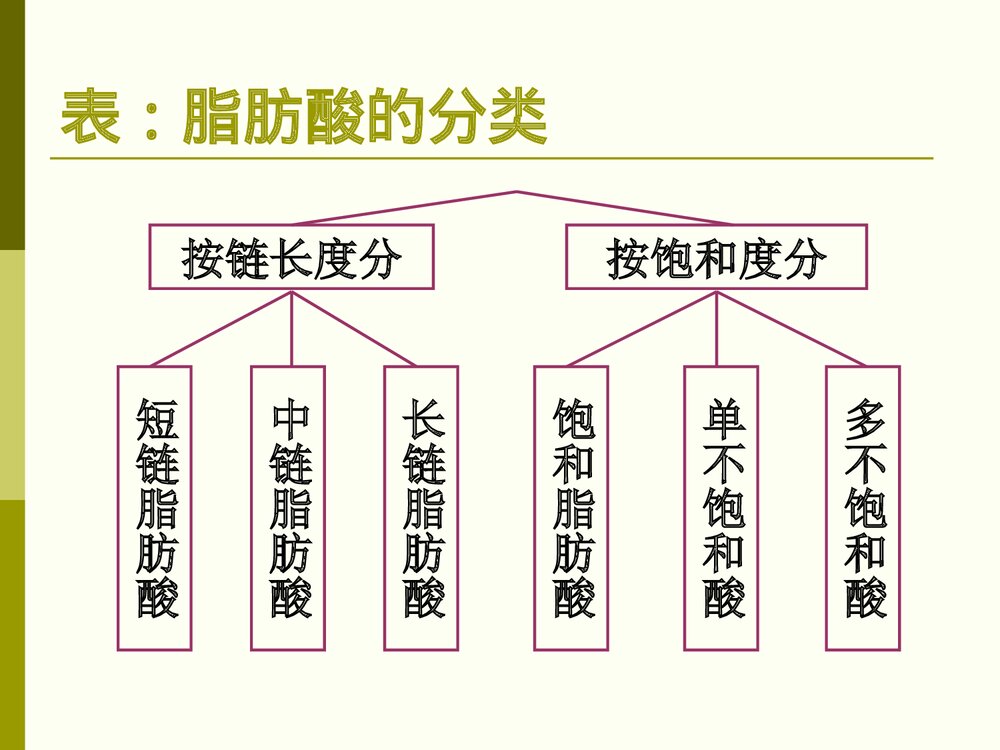 有关食品化学脂肪课件PPT下载3