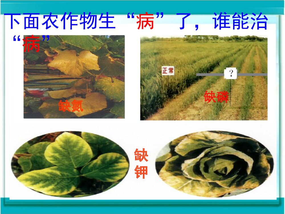 课题2《化学肥料》盐化肥公开课PPT课件下载7