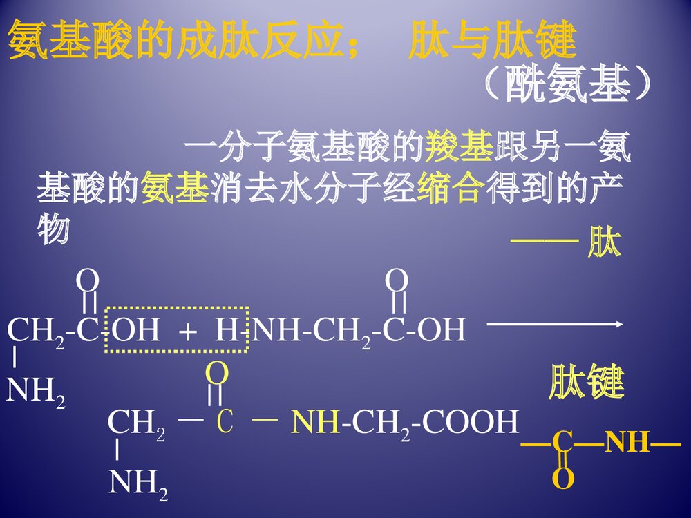 高二化学《第三节 生命的基础·蛋白质》PPT课件7