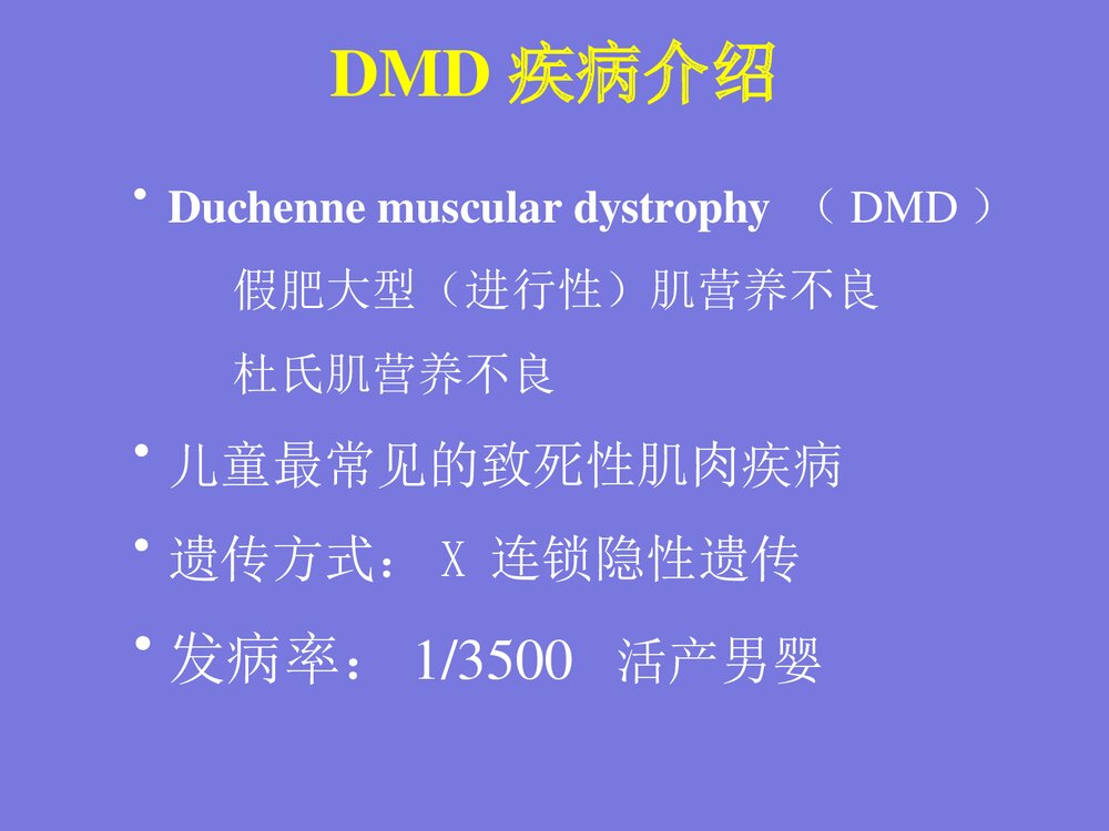 DMD基因诊断·进修生·给学生PPT课件下载3