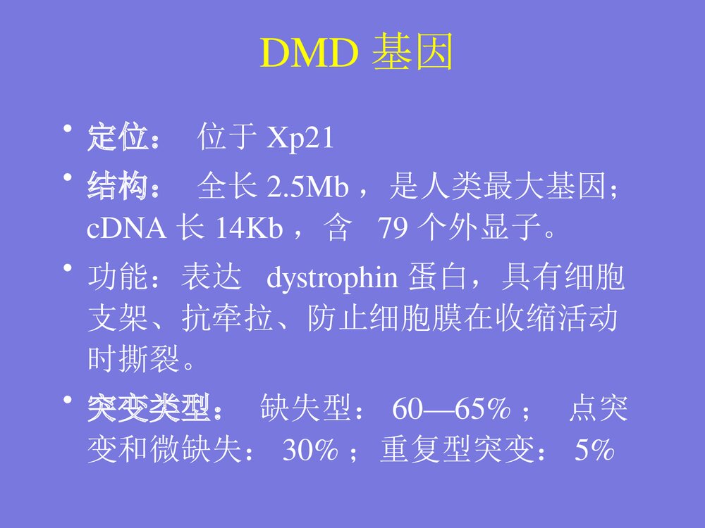 DMD基因诊断·进修生·给学生PPT课件下载7
