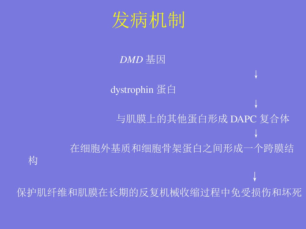 DMD基因诊断·进修生·给学生PPT课件下载10