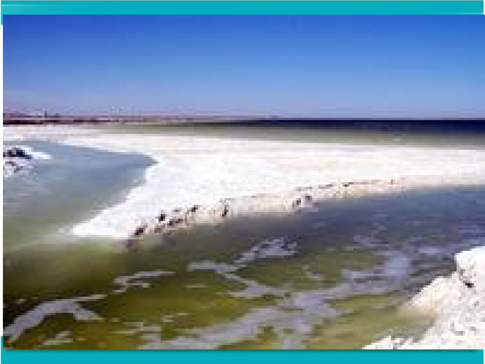 《实验活动8-粗盐中难溶性杂质的去除 盐化肥》人教版PPT课件4