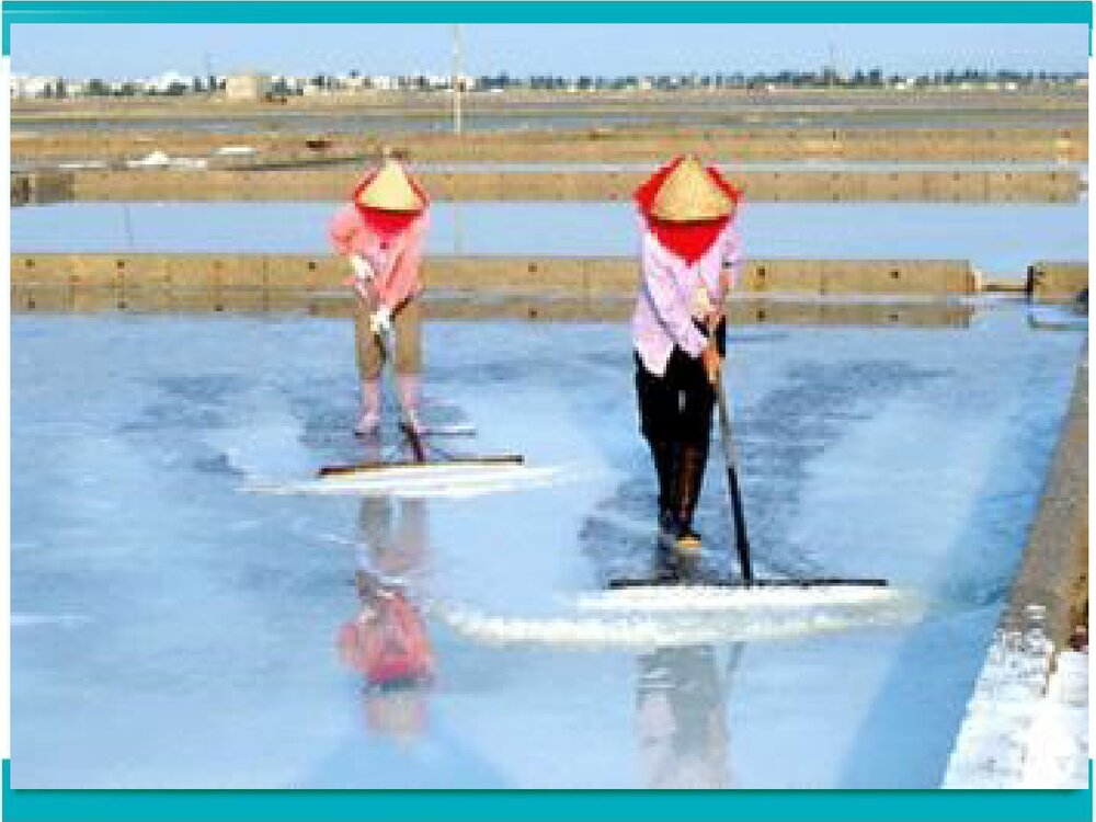 《实验活动8-粗盐中难溶性杂质的去除 盐化肥》人教版PPT课件5