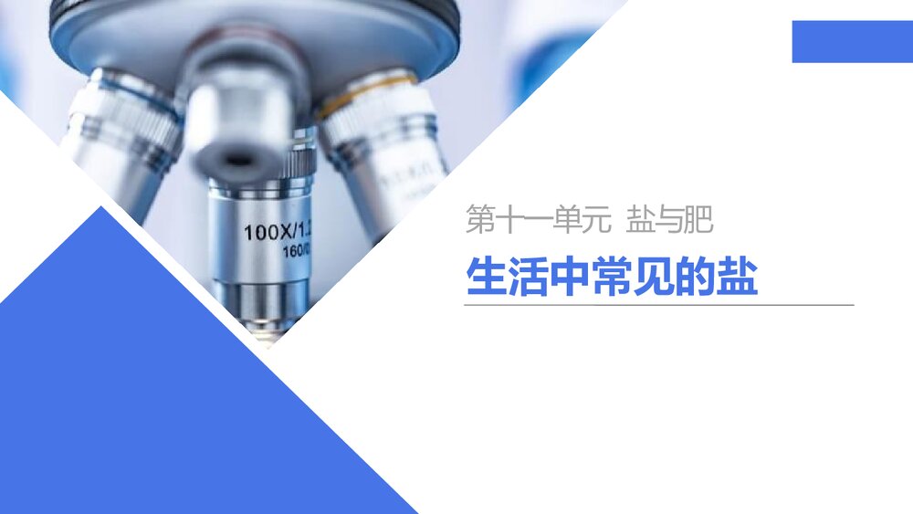 第十一单元 盐与肥 生活中常见的盐优秀PPT课件1