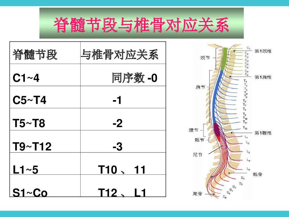 脊髓损伤截瘫平面的评估PPT课件下载6