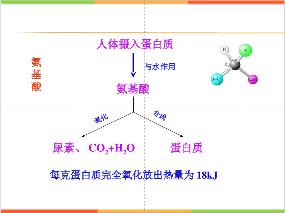 人教版初中化学《人类重要的营养物质化学与生活》PPT教学课件8