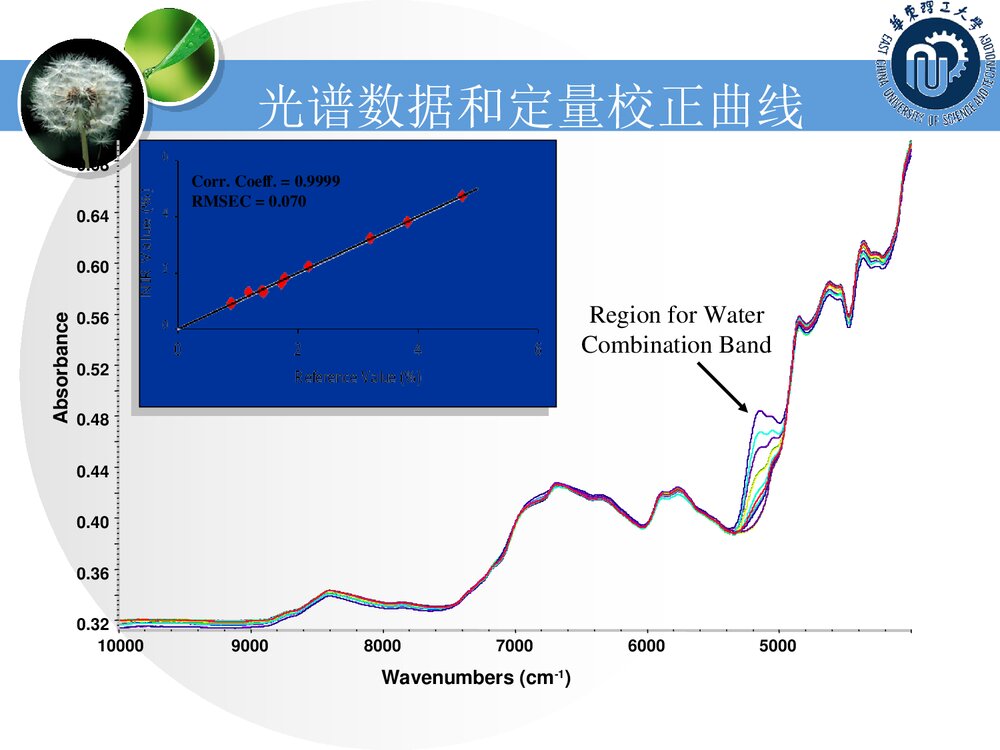 化学计量学基础PPT课件下载(共79页)5