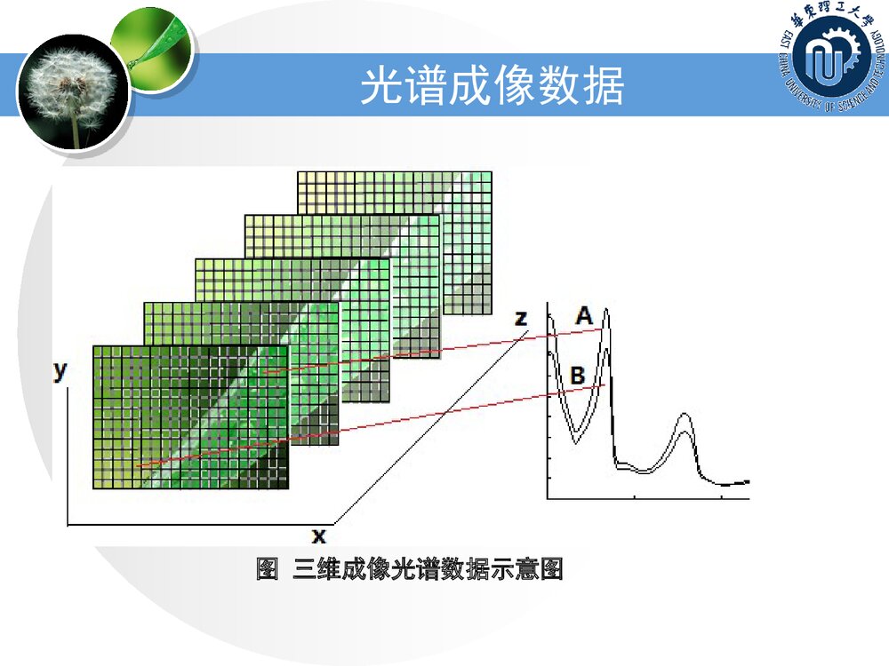 化学计量学基础PPT课件下载(共79页)6