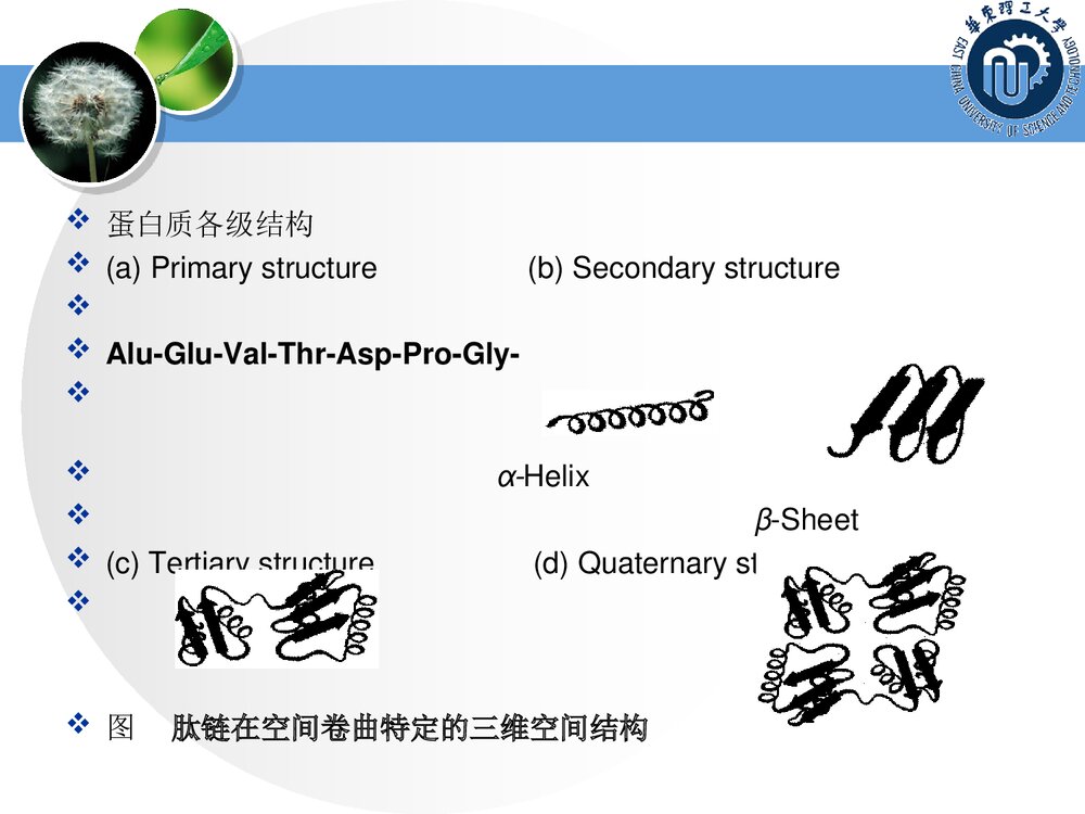 化学计量学基础PPT课件下载(共79页)7