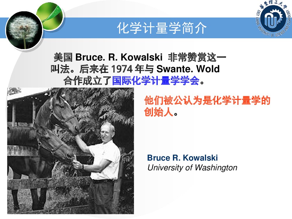 化学计量学基础PPT课件下载(共79页)10