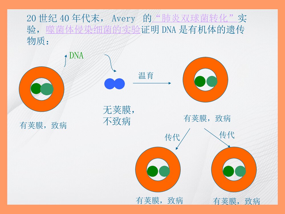 生物化学简明教程绪论PPT课件4