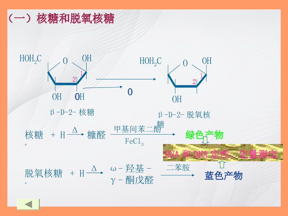 生物化学简明教程绪论PPT课件7