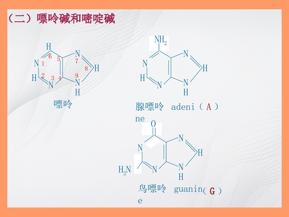 生物化学简明教程绪论PPT课件8