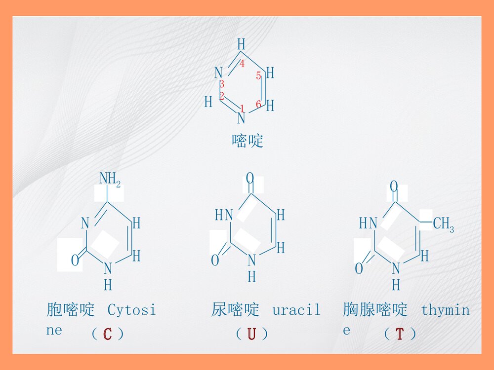 生物化学简明教程绪论PPT课件9