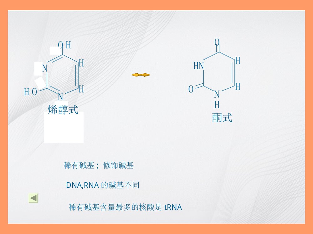 生物化学简明教程绪论PPT课件10
