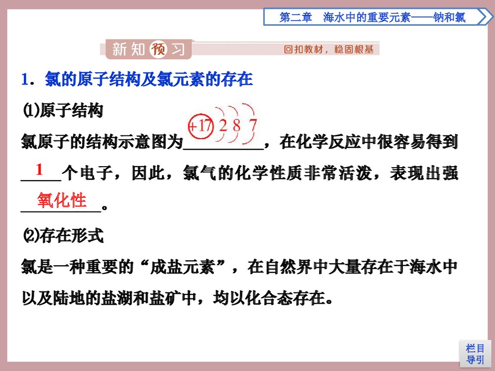 人教版高中化学必修一《第1课时 氯及其化合物 海水中的重要元素·钠和氯》PPT课件4