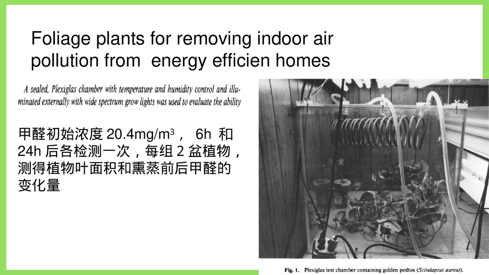 植物吸甲醛实验ppt课件4