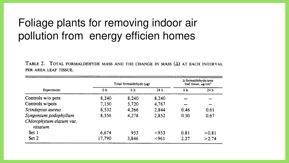 植物吸甲醛实验ppt课件5