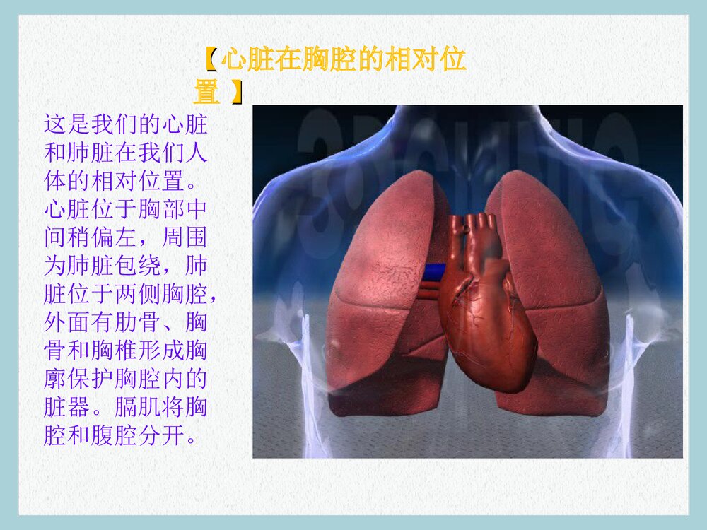 心血管疾病健康讲座PPT课件下载2
