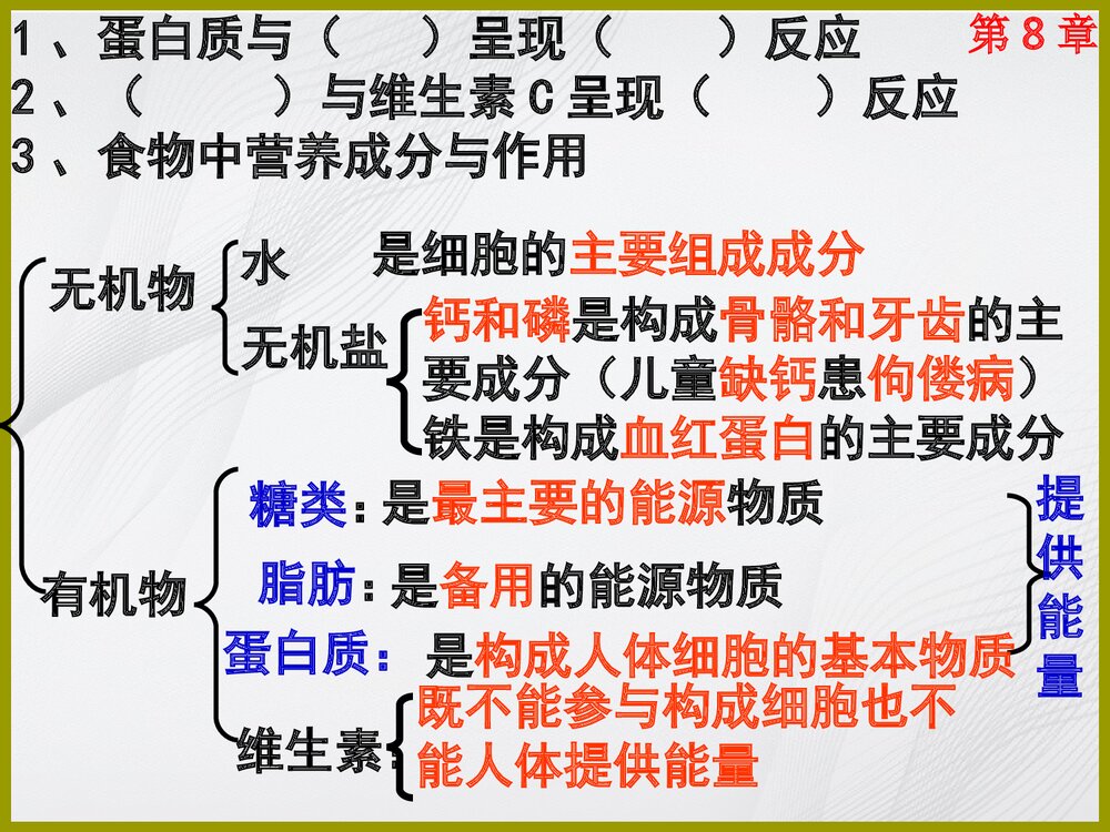 苏教版七年级下册生物期末复习课件PPT下载2
