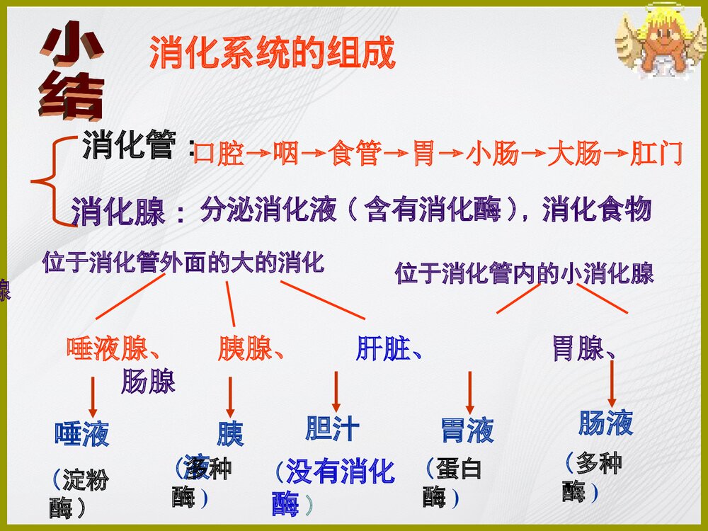 苏教版七年级下册生物期末复习课件PPT下载4
