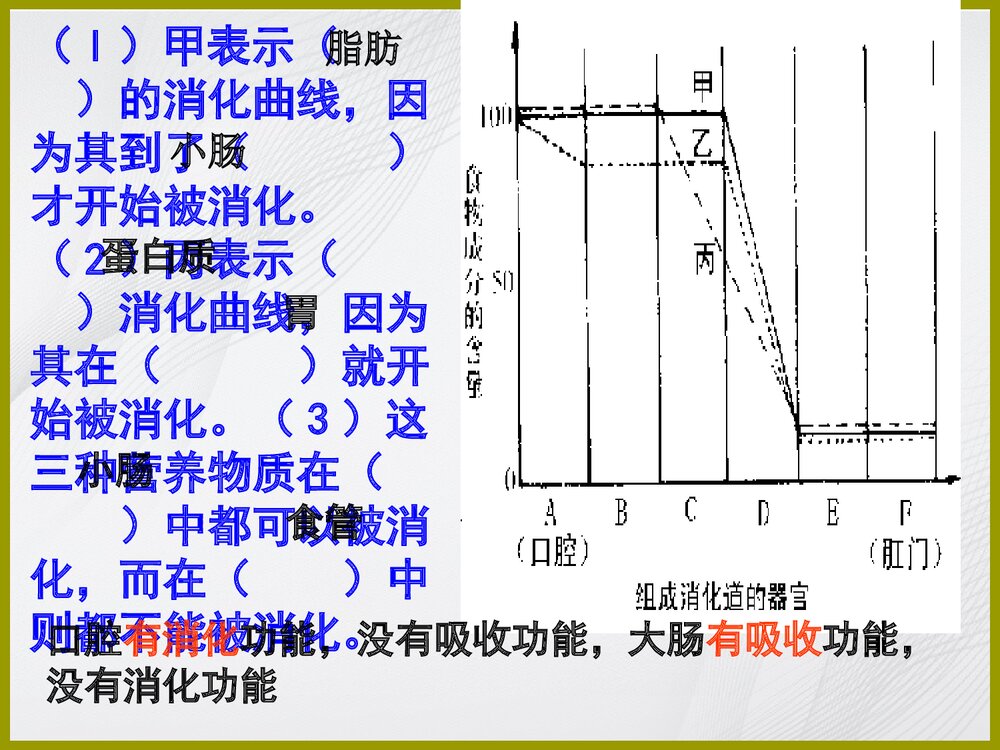 苏教版七年级下册生物期末复习课件PPT下载6