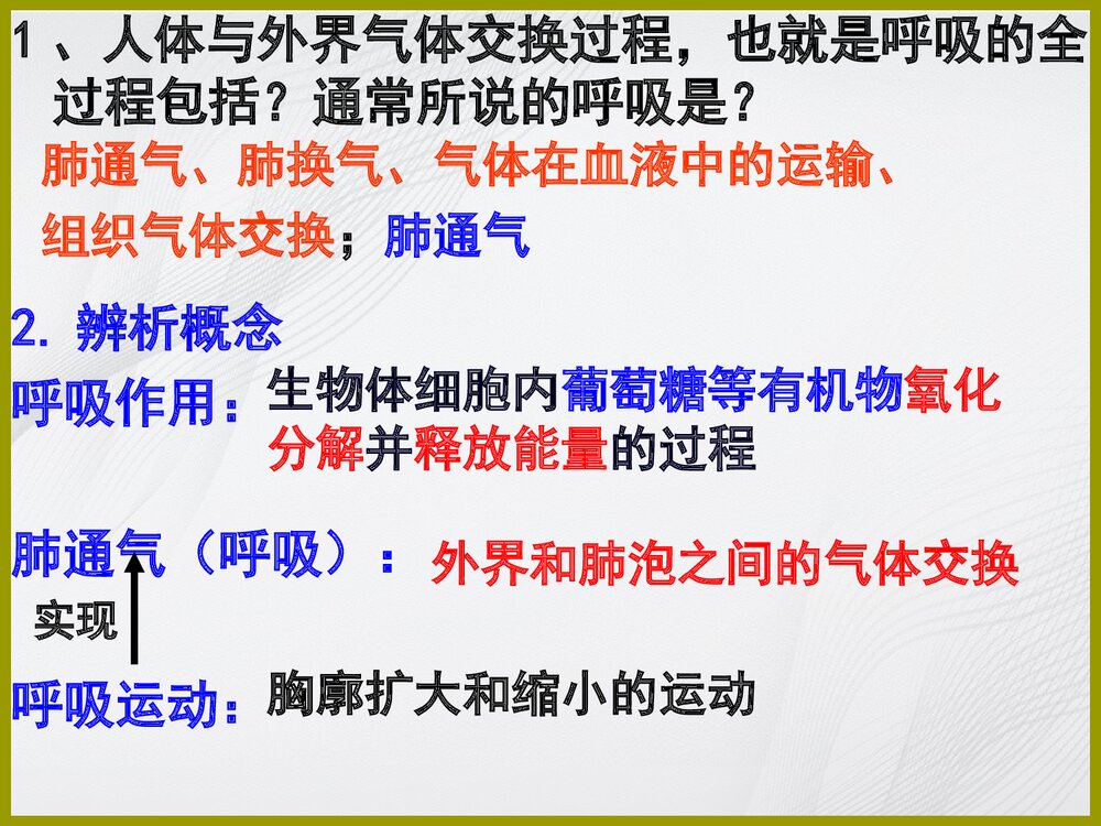 苏教版七年级下册生物期末复习课件PPT下载10