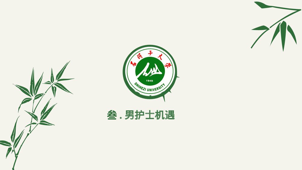 男护士的机遇与挑战PPT课件下载(共30页)10