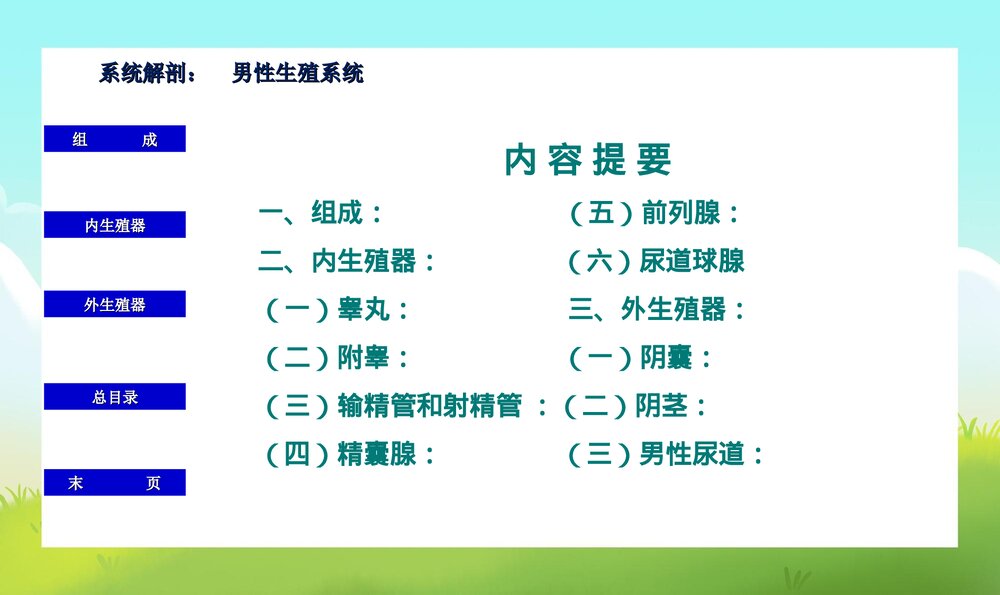 初中男生早期性教育PPT课件下载2