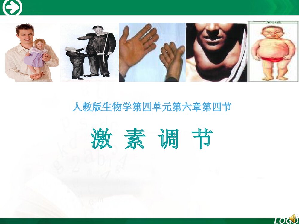 人教版七年级生物下册《第四单元 第六章 第四节 激素的调节》PPT课件下载3