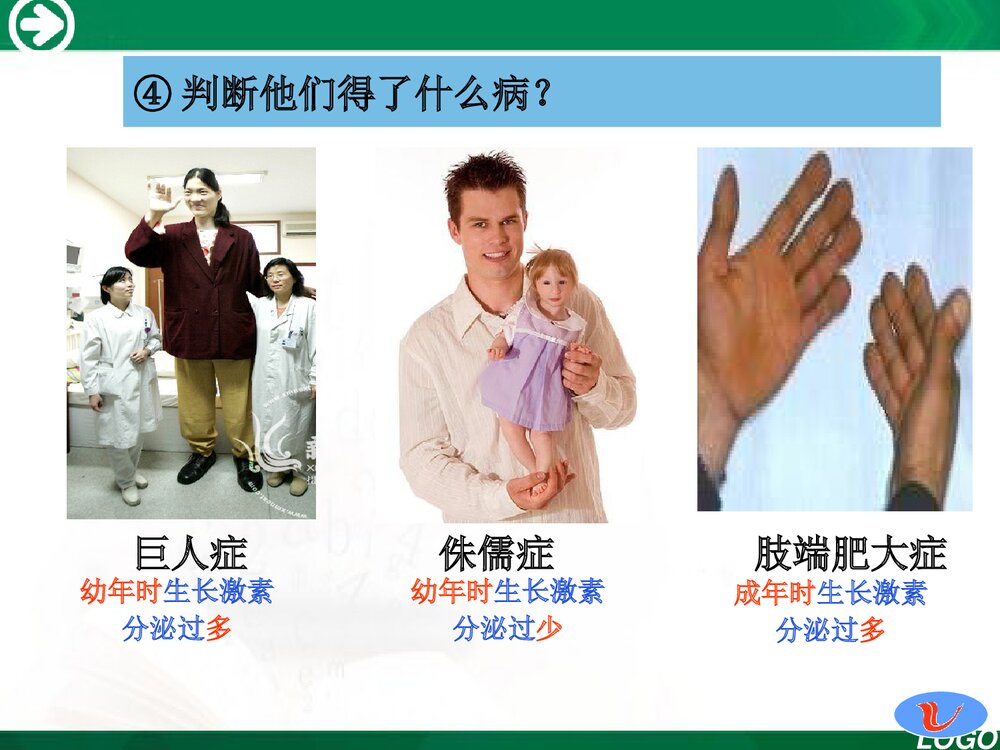 人教版七年级生物下册《第四单元 第六章 第四节 激素的调节》PPT课件下载9