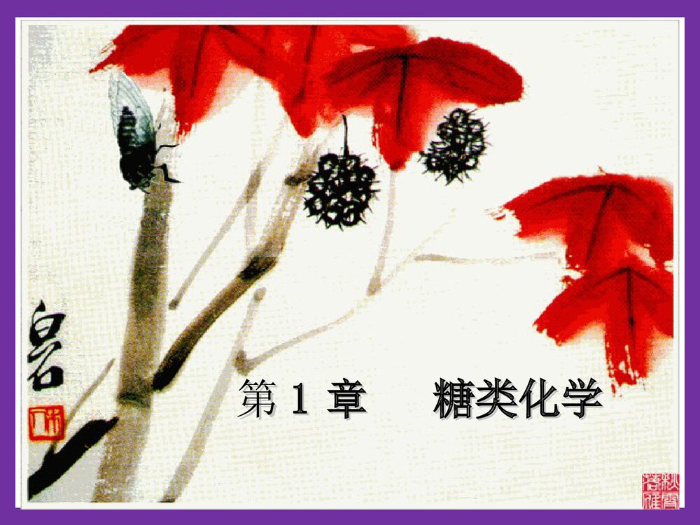 第1章糖类化学PPT课件下载(共56页)1