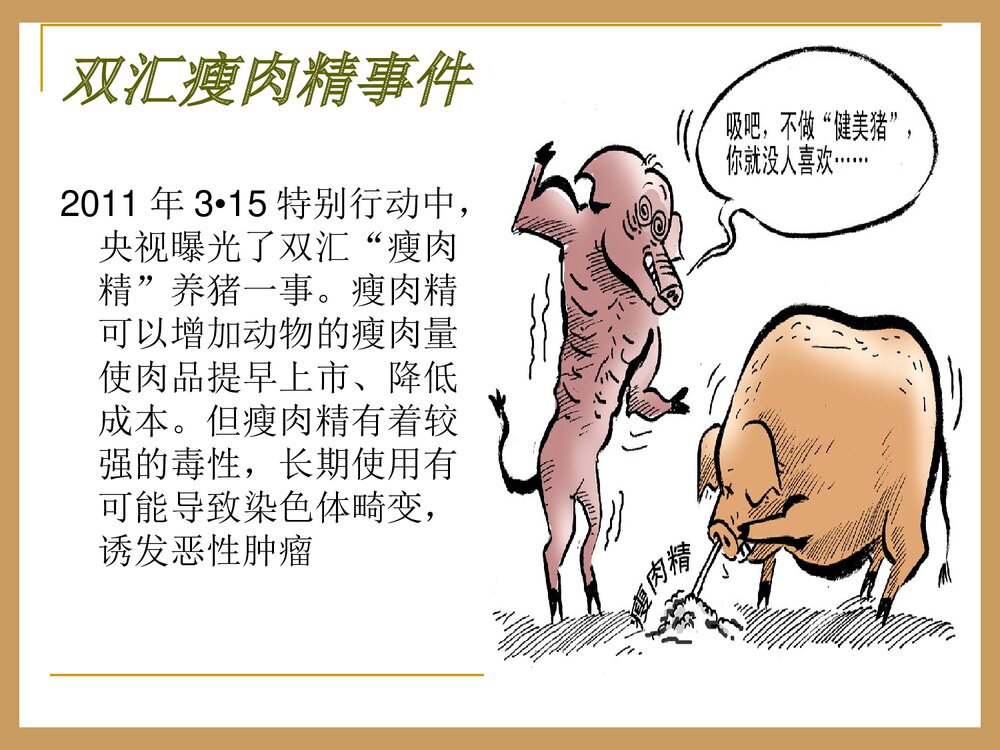 《化学与食品安全》化学研究性学习成果PPT课件4