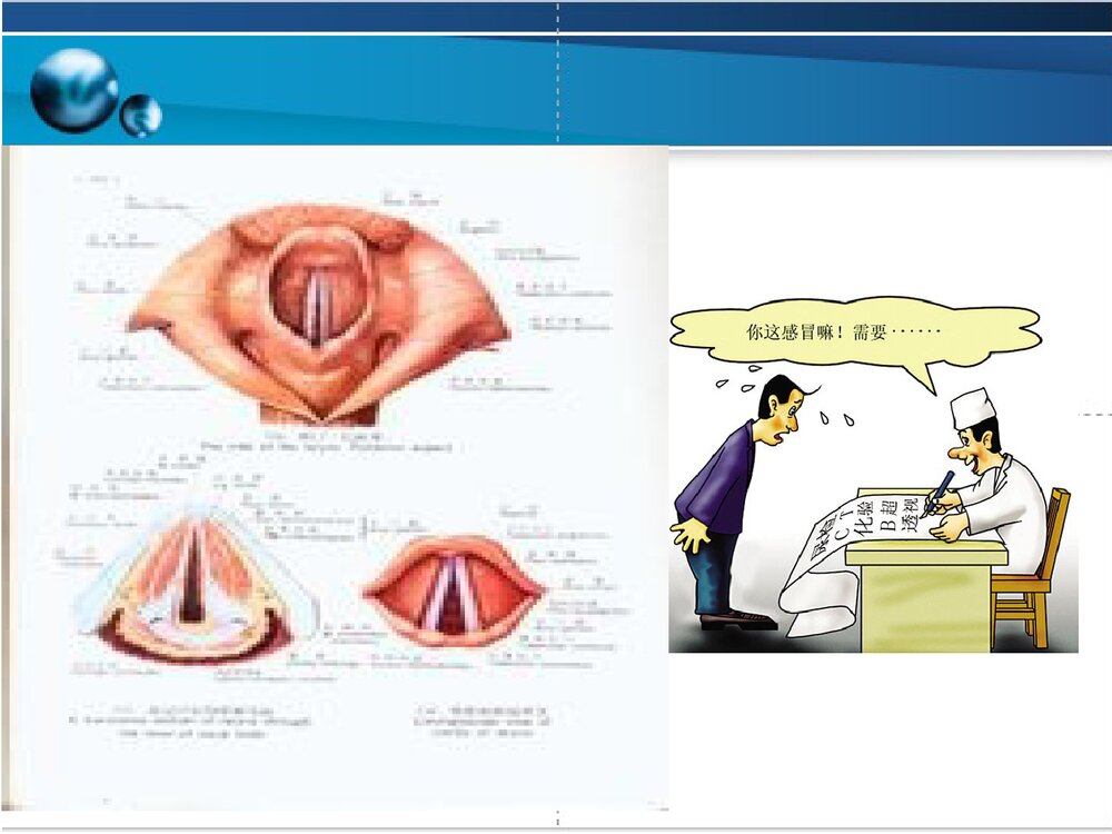 声带及其相关疾病简介PPT课件下载2
