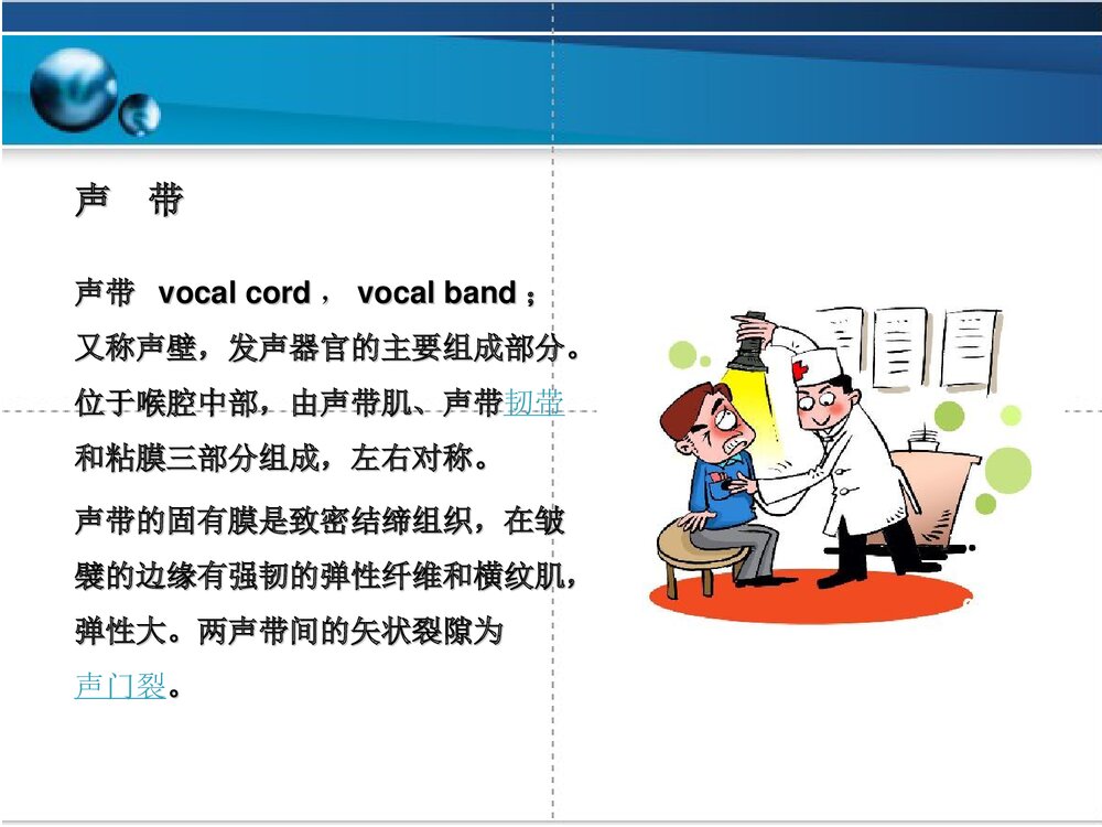 声带及其相关疾病简介PPT课件下载3
