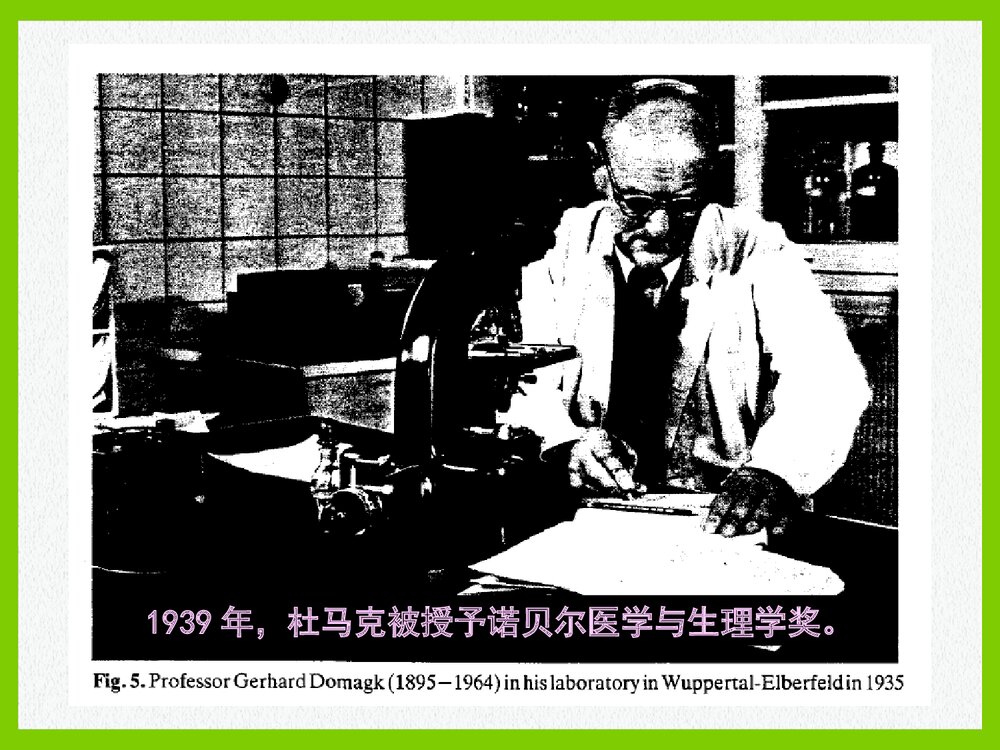 药物化学《第三节 磺胺类药物及抗菌增效剂》PPT课件8