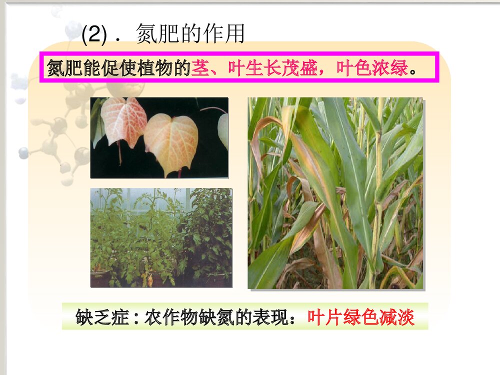 九年级下册化学《课题2 化学化肥》PPT课件5