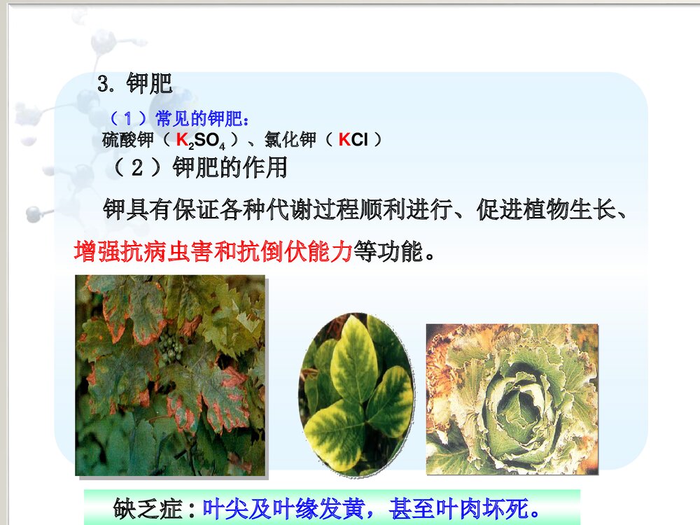 九年级下册化学《课题2 化学化肥》PPT课件10