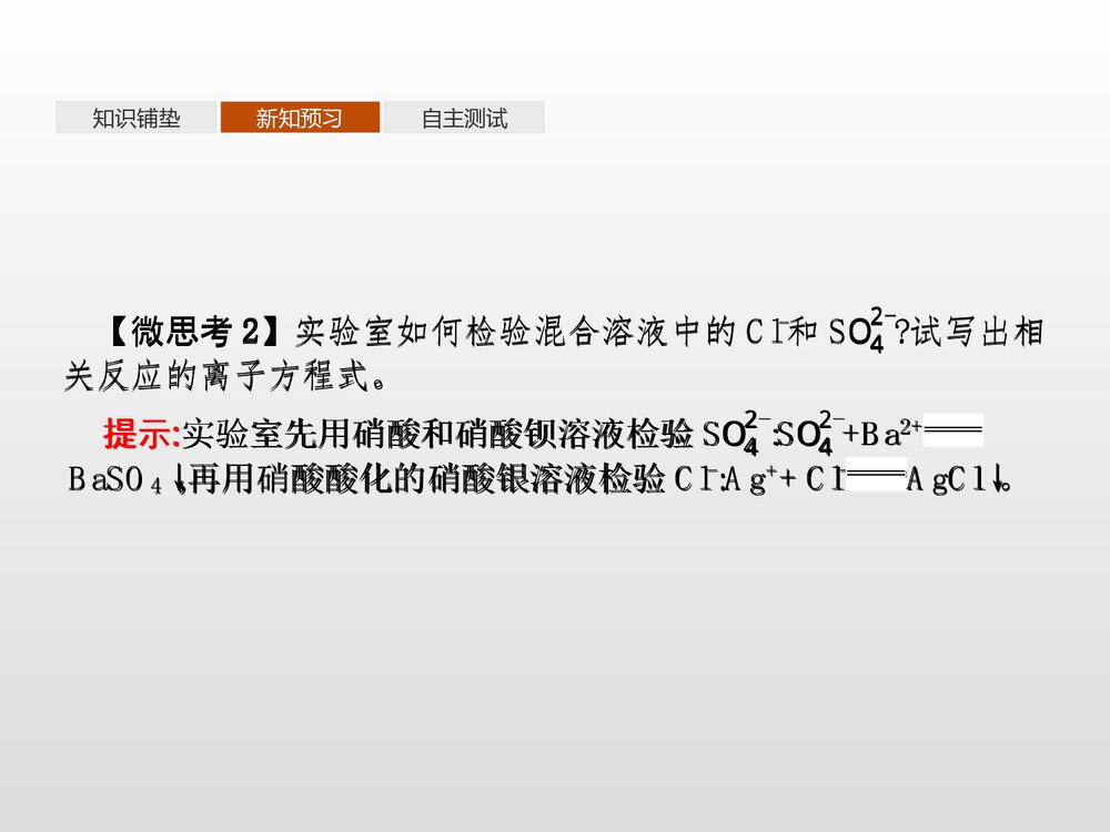 电解质的电离·离子反应PPT课件下载10