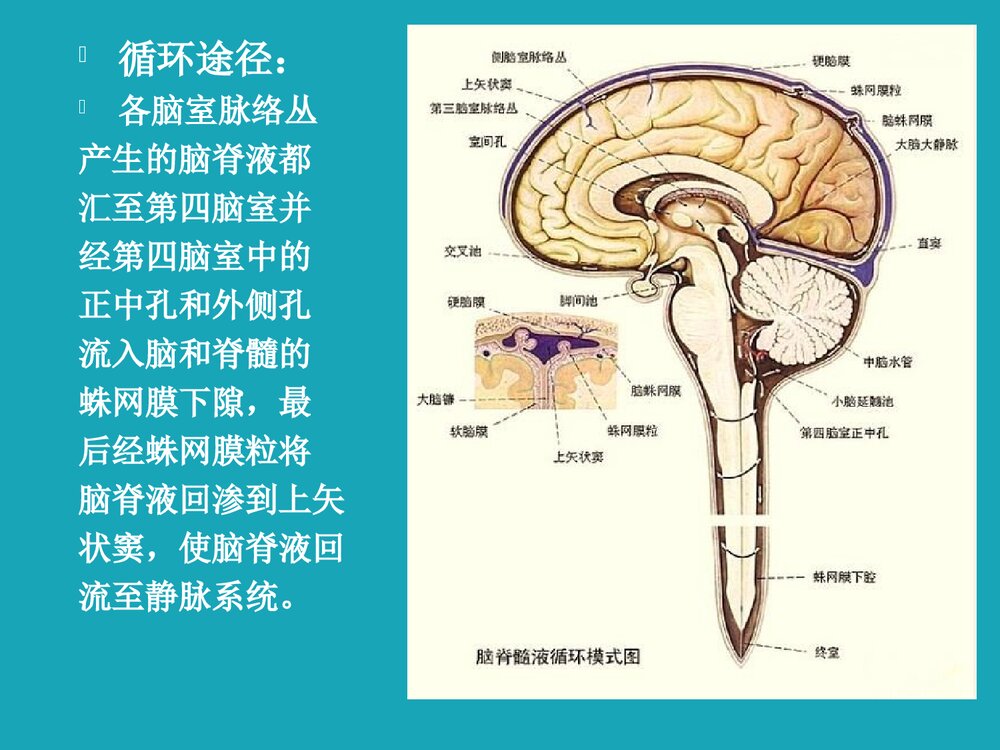脑室引流护理PPT课件下载4