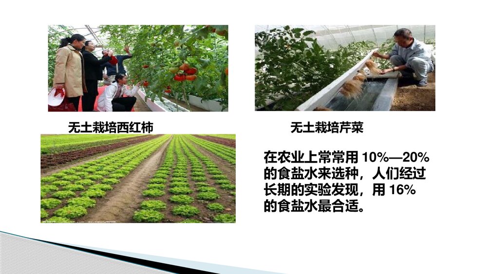 《配制一定溶质质量分数溶液》PPT课件下载4