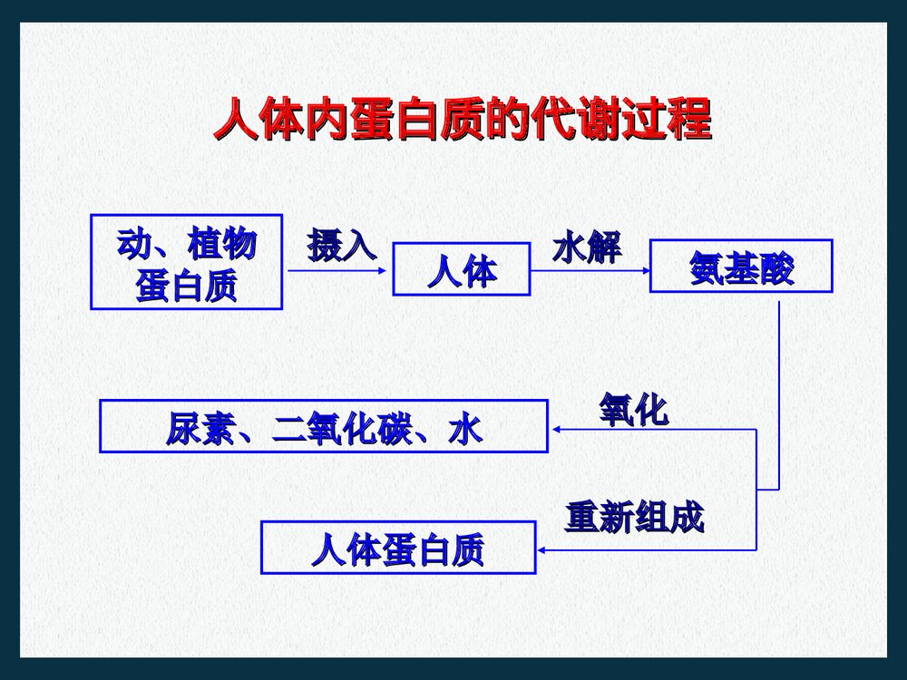 九年级化学下册第十二单元化学生活《课题1 人类重要的营养物质化学与生活》PPT课件9