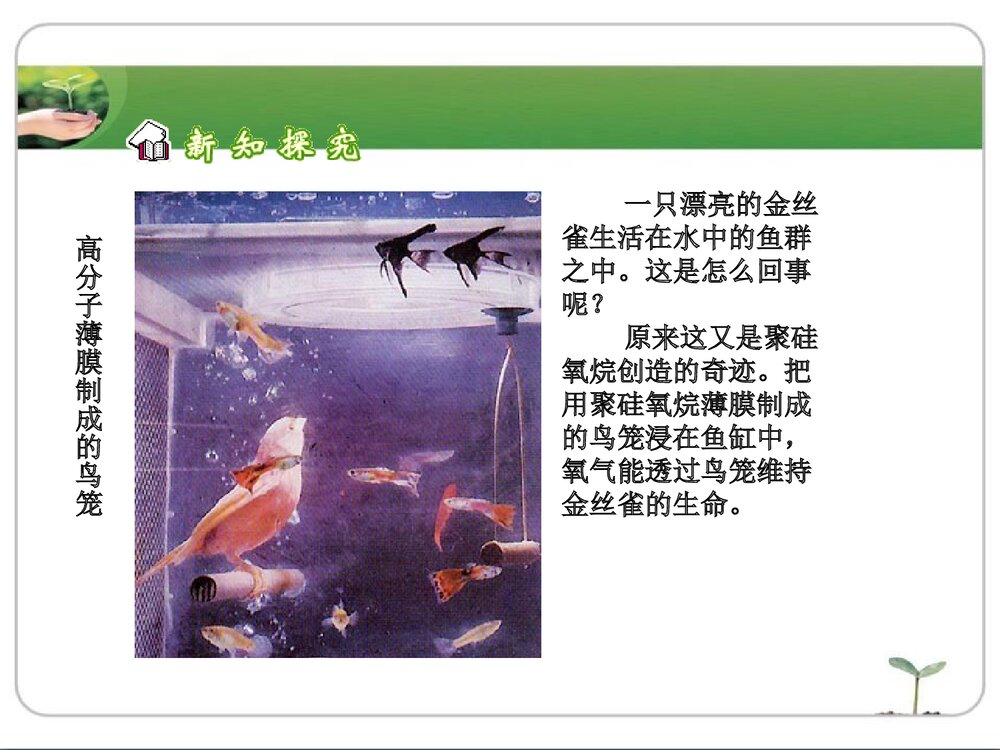 粤教版化学九年级下册9.2《化学合成材料·现代生活与化学》(第3课时)PPT课件下载7